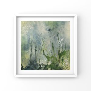 Meadow